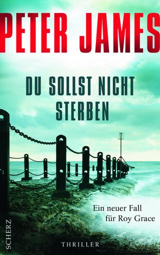 Peter James: Du sollst nicht sterben