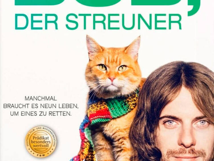 DVD Cover Bob der Streuner