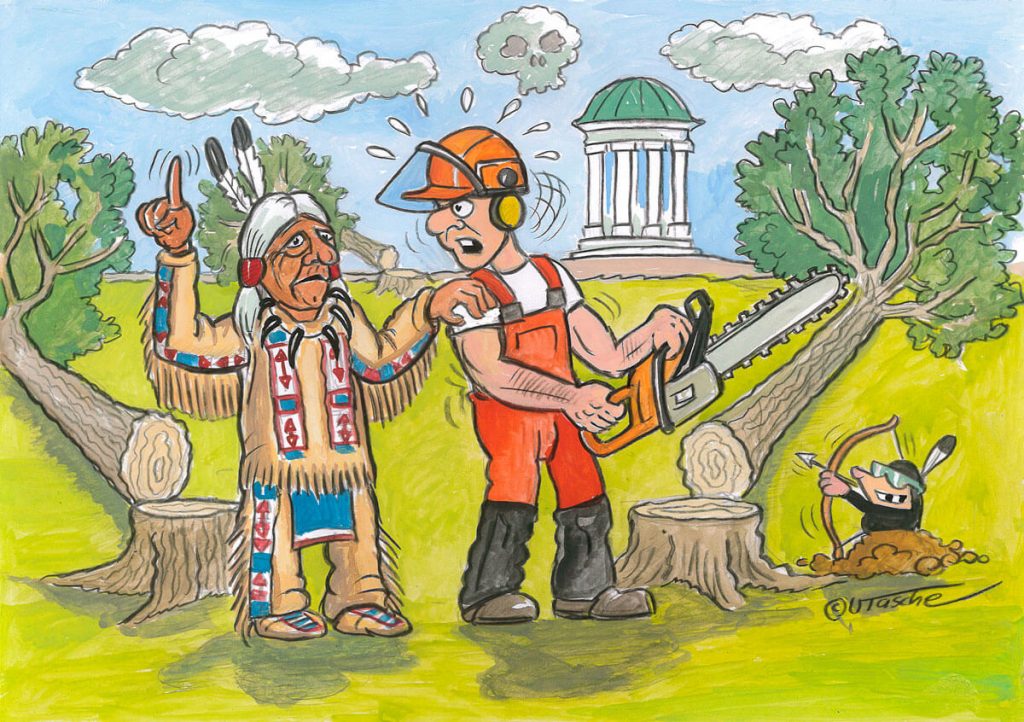 Von Uwe Voehl. Illustriert von Ulrich Tasche.