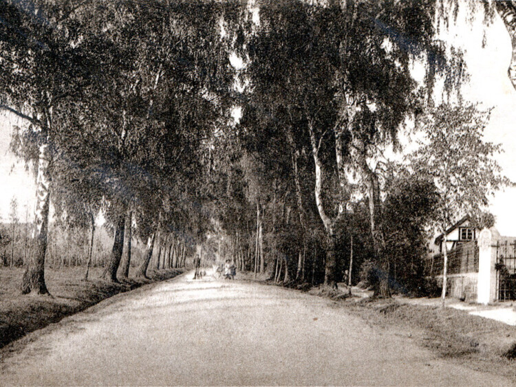 Foto Waldstraße um 1910