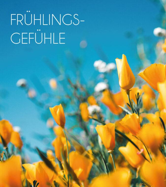 Titelbild Salzstreuner